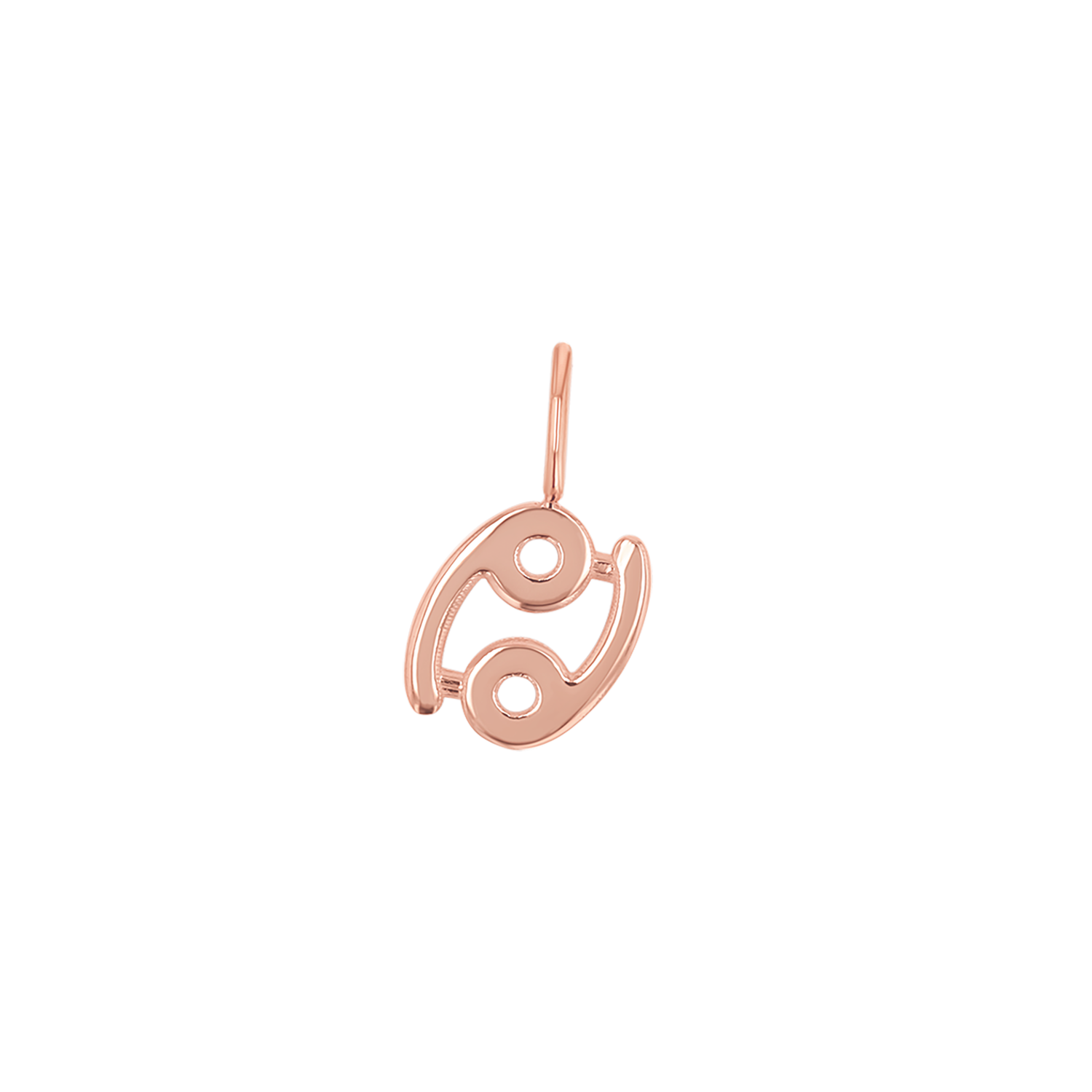 Zodiac Charm