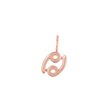 Zodiac Charm