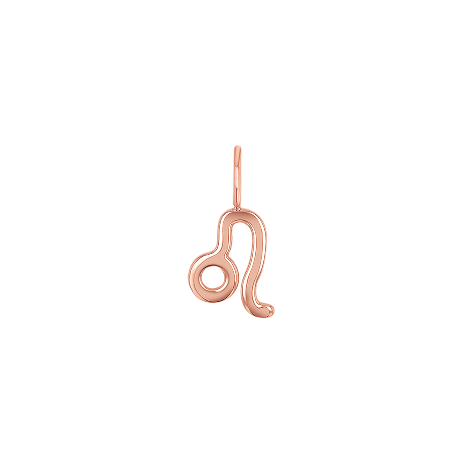 Zodiac Charm