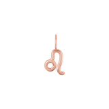 Zodiac Charm