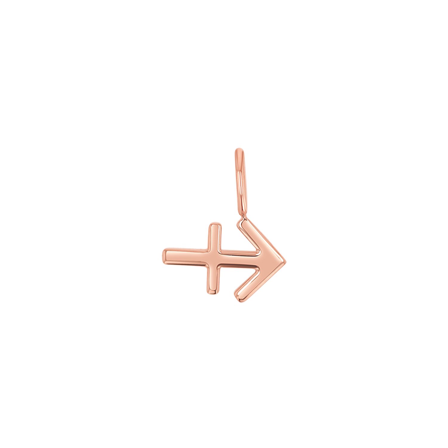 Zodiac Charm