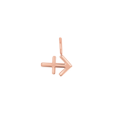 Zodiac Charm