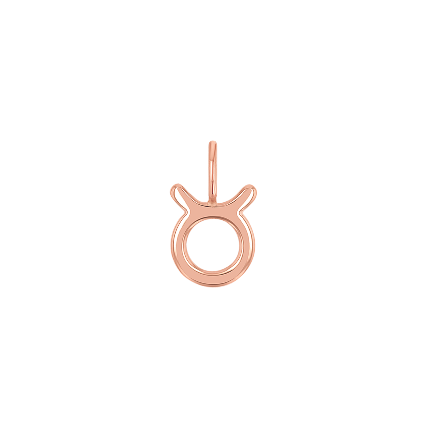 Zodiac Charm