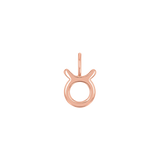 Zodiac Charm