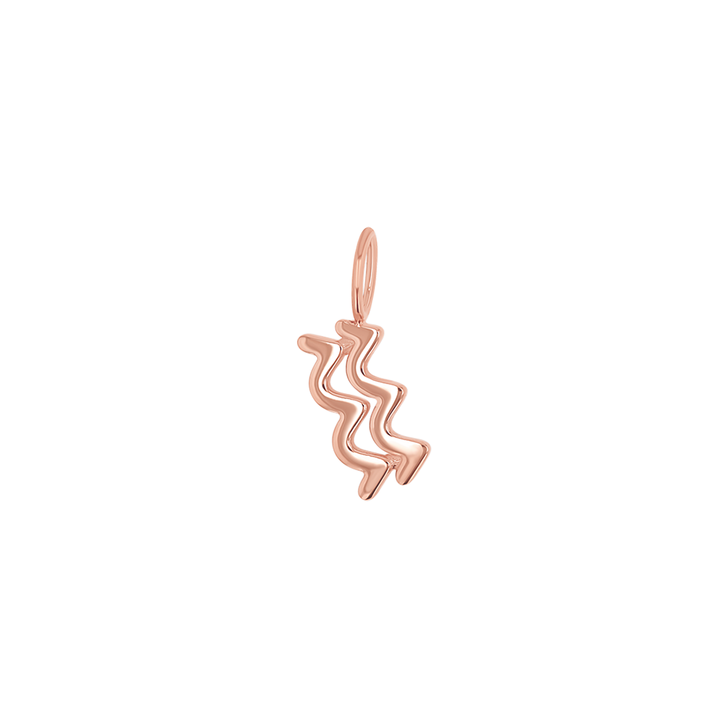 Zodiac Charm