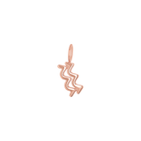Zodiac Charm