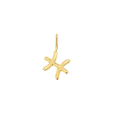 Zodiac Charm