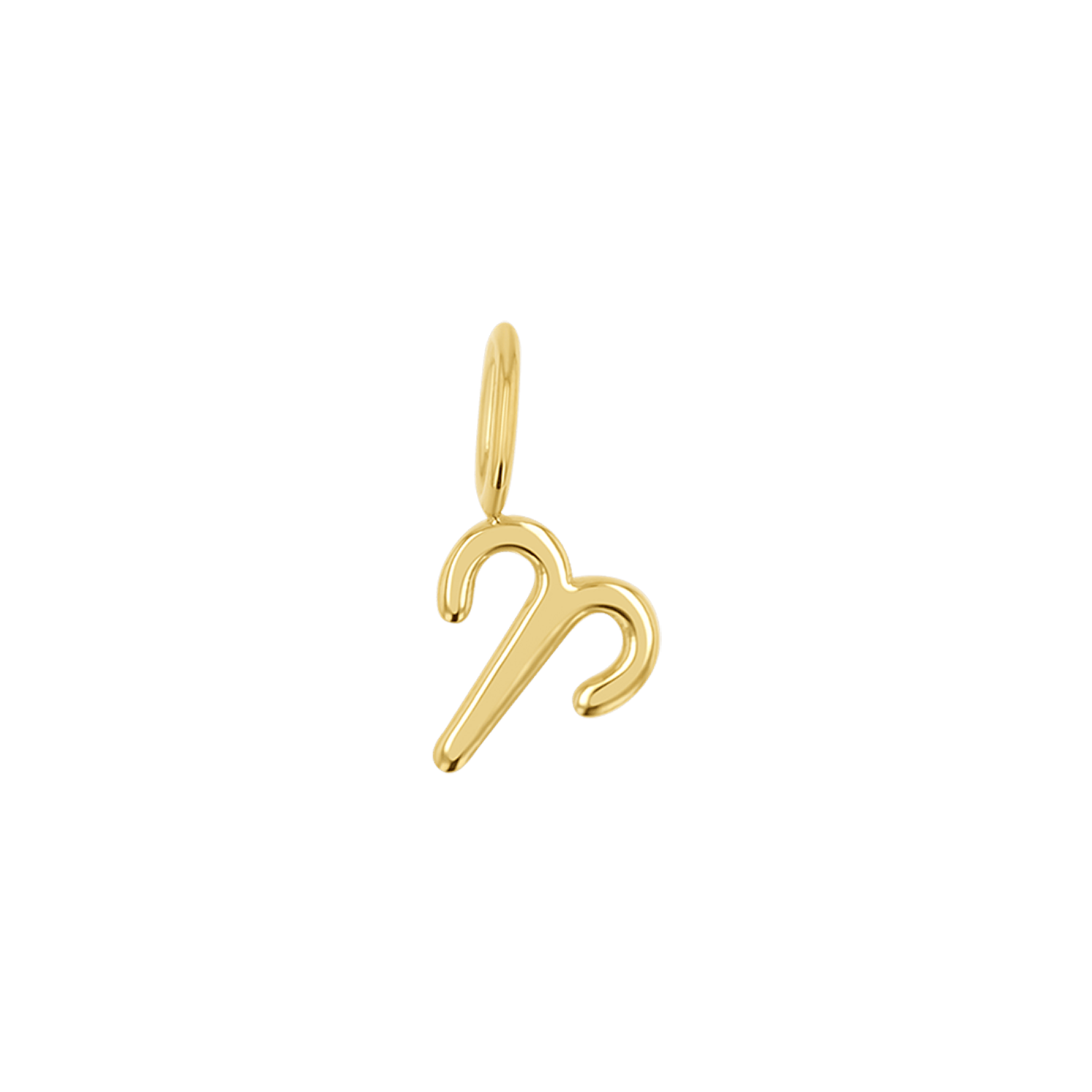 Zodiac Charm