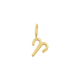 Zodiac Charm