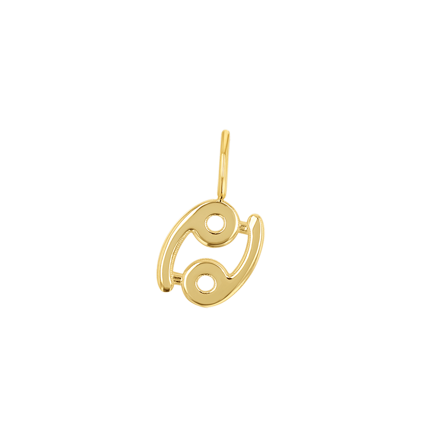 Zodiac Charm