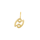 Zodiac Charm