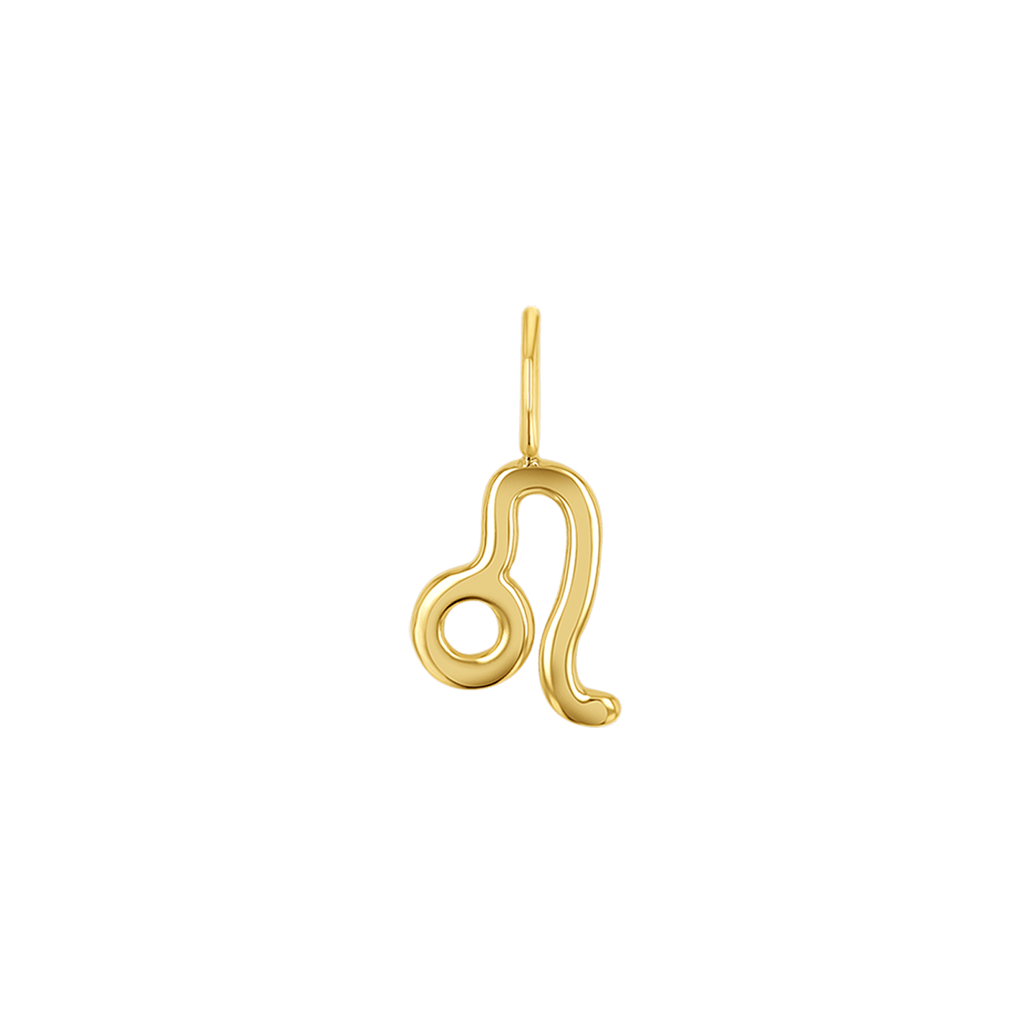 Zodiac Charm