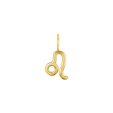 Zodiac Charm