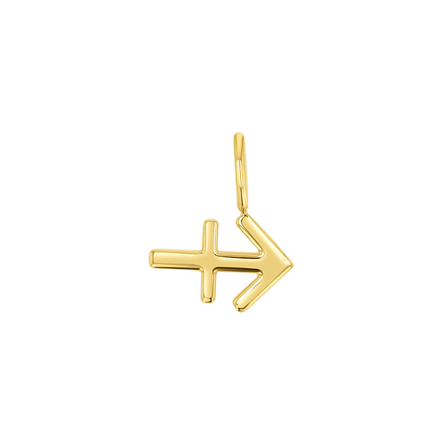Zodiac Charm