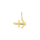 Zodiac Charm