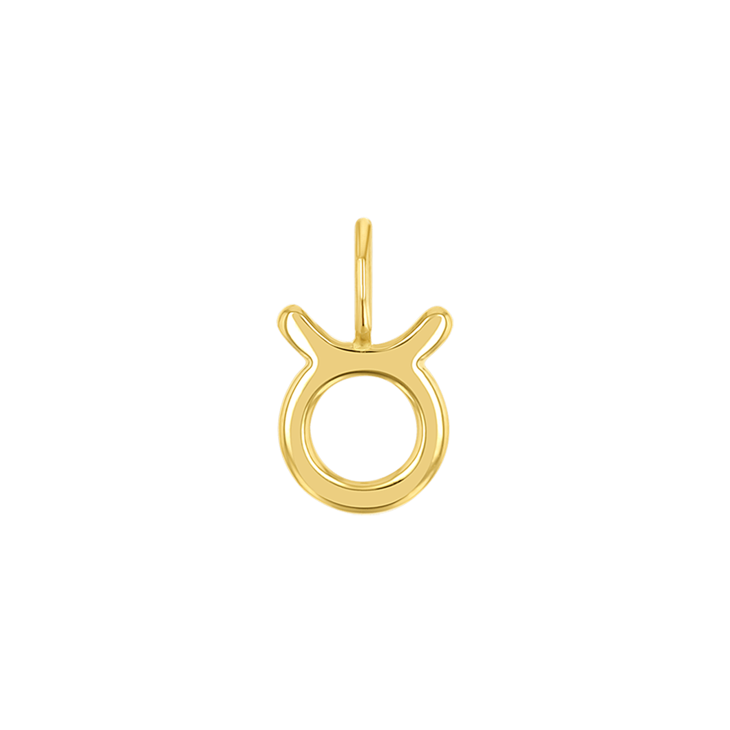 Zodiac Charm