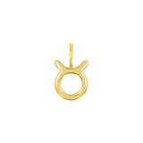 Zodiac Charm