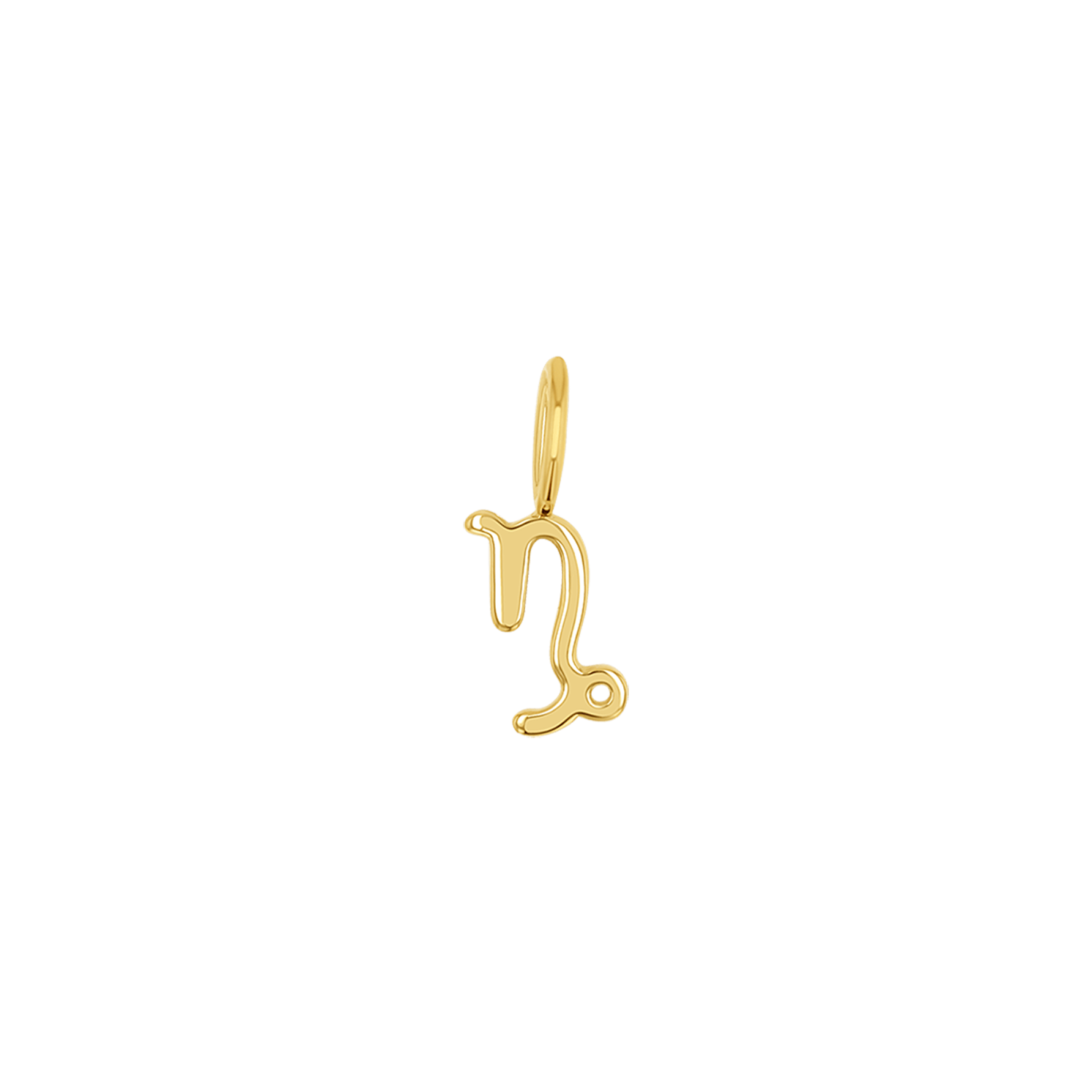 Zodiac Charm