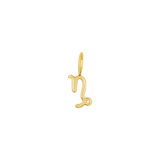 Zodiac Charm