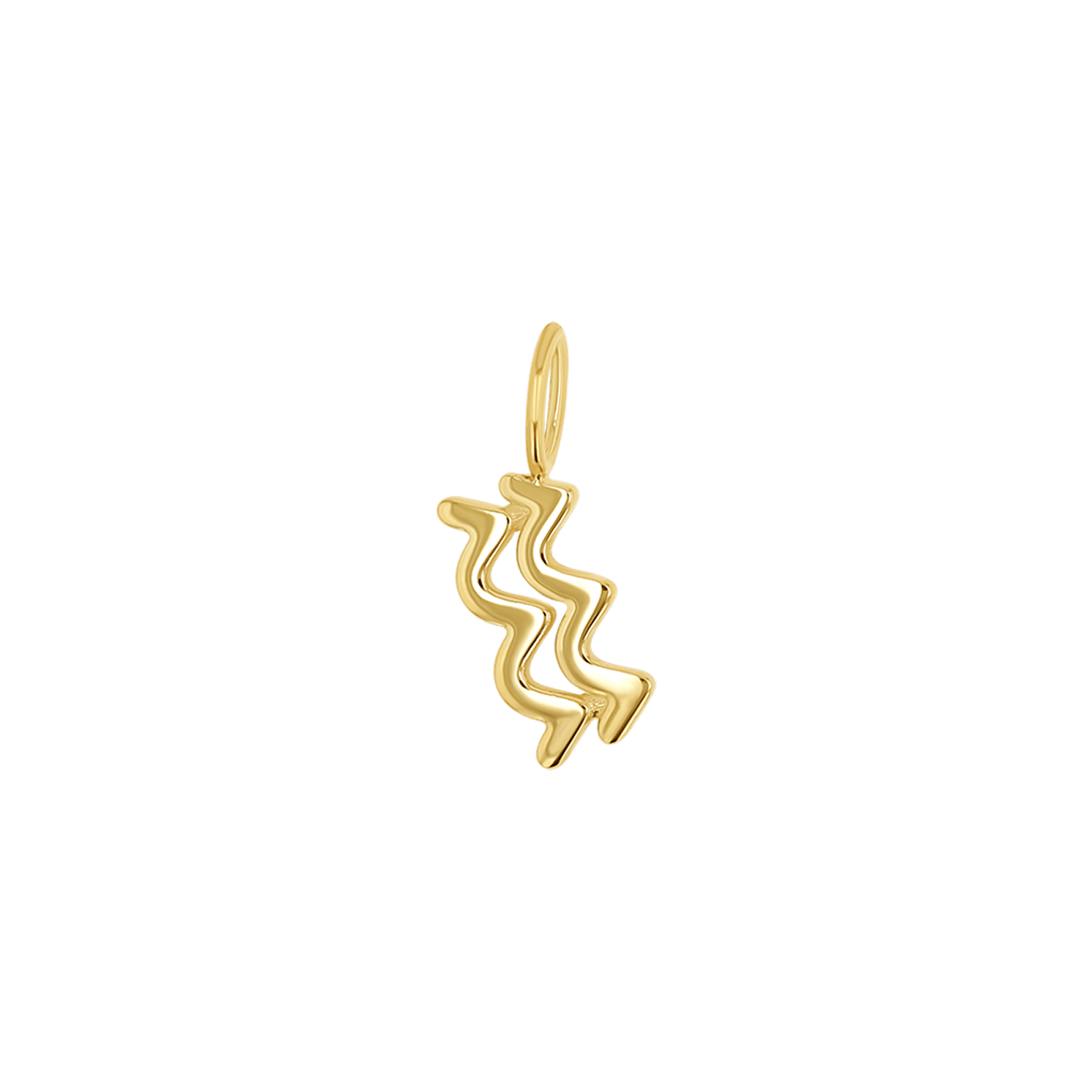 Zodiac Charm