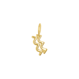 Zodiac Charm