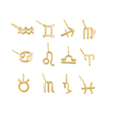 Zodiac Charm