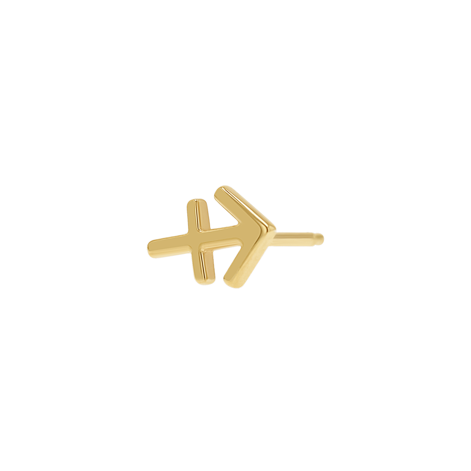 Zodiac Stud Earrings