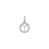 Zodiac Twist Medallion Charm