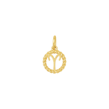 Zodiac Twist Medallion Charm
