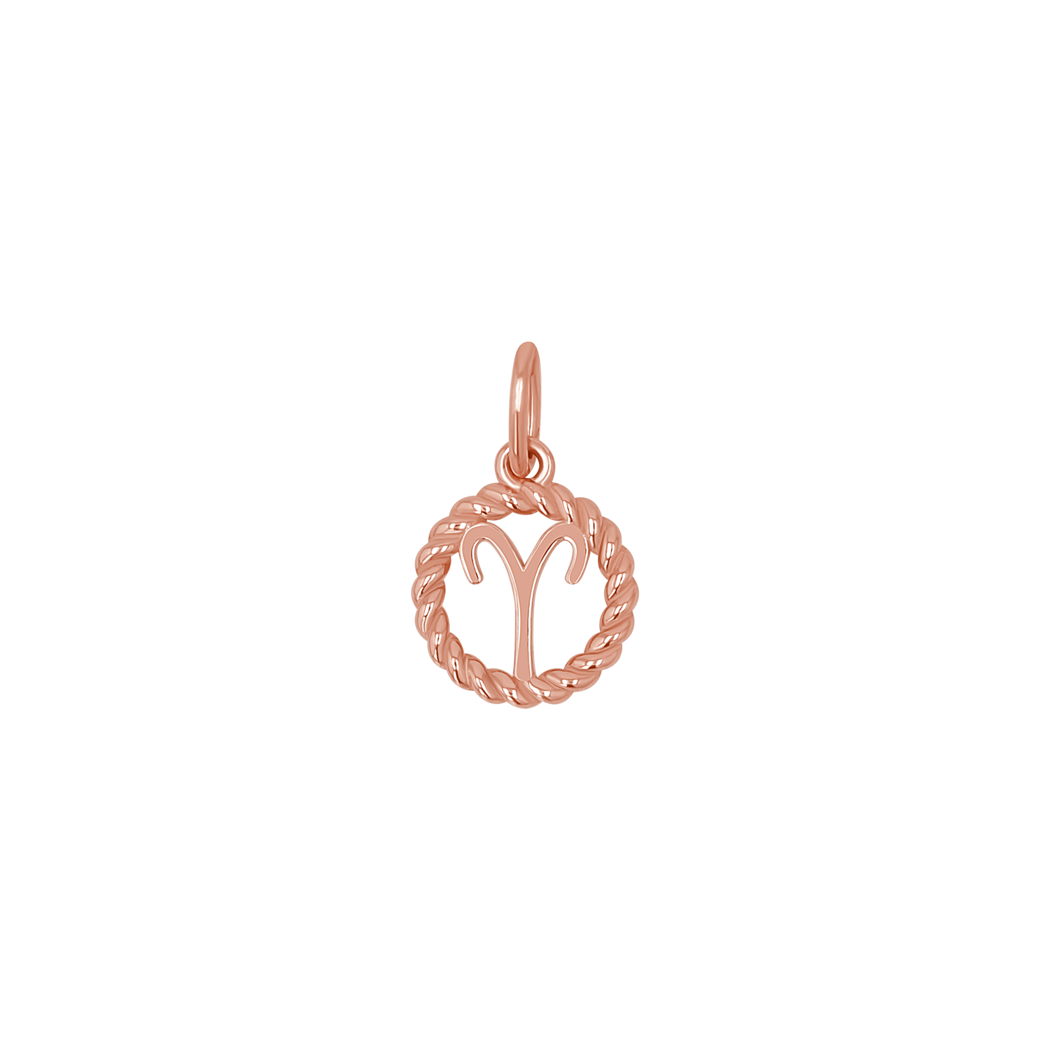Zodiac Twist Medallion Charm