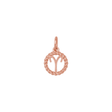 Zodiac Twist Medallion Charm