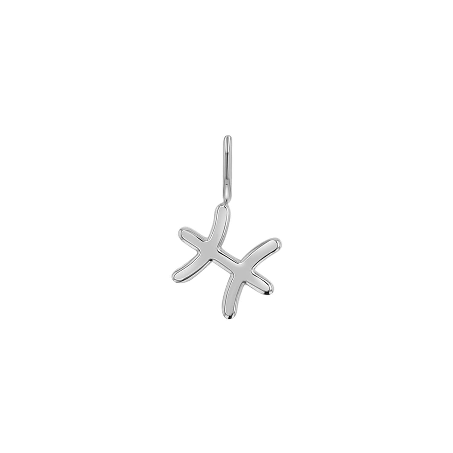 Zodiac Charm