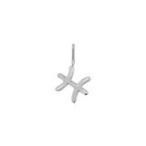 Zodiac Charm