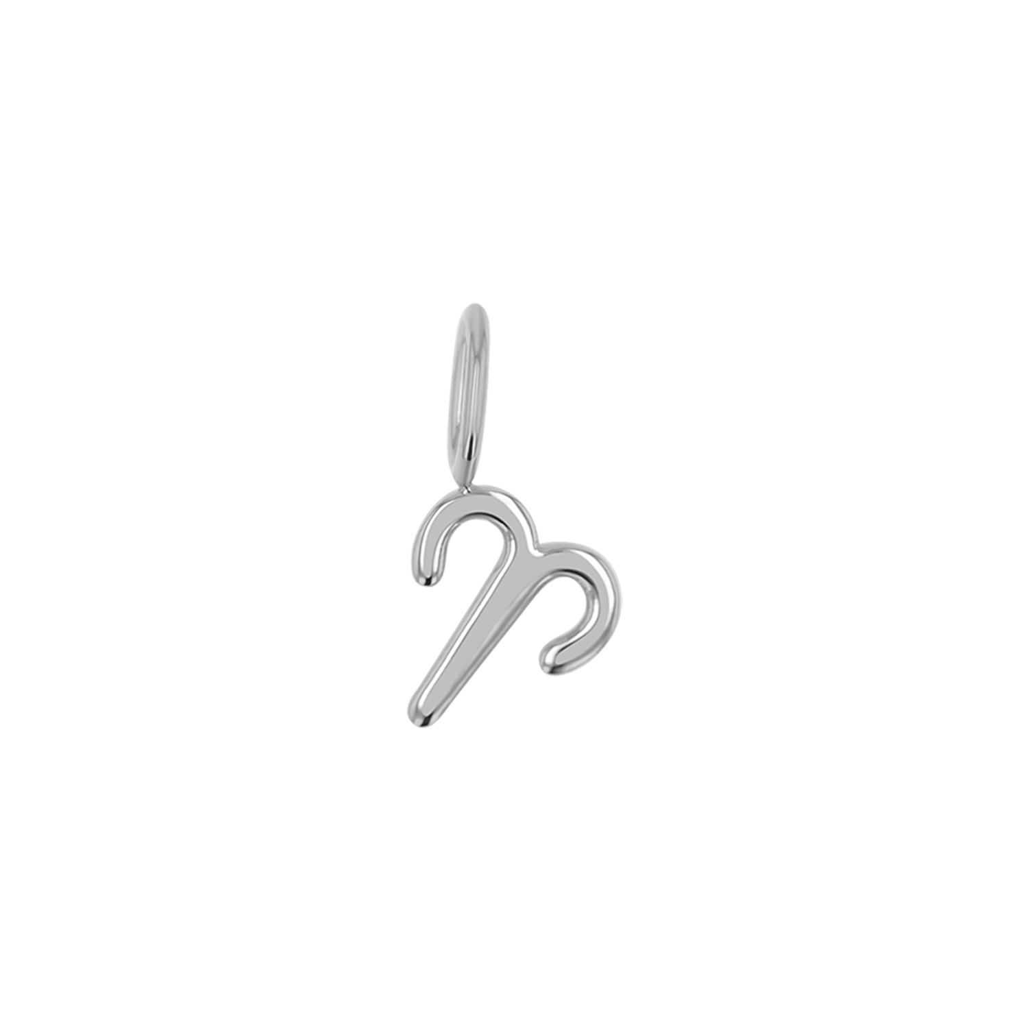 Zodiac Charm