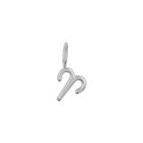 Zodiac Charm