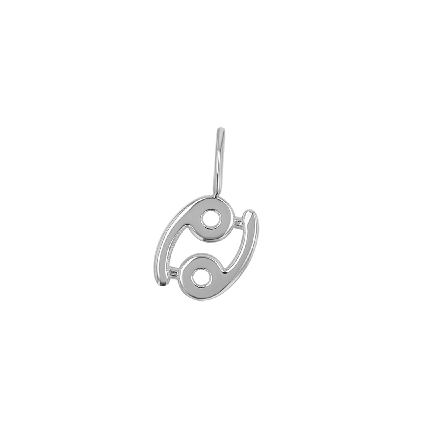 Zodiac Charm