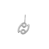 Zodiac Charm