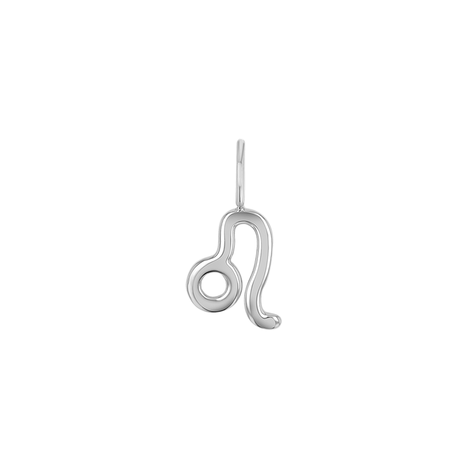 Zodiac Charm