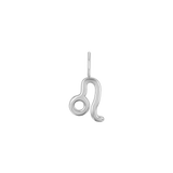 Zodiac Charm
