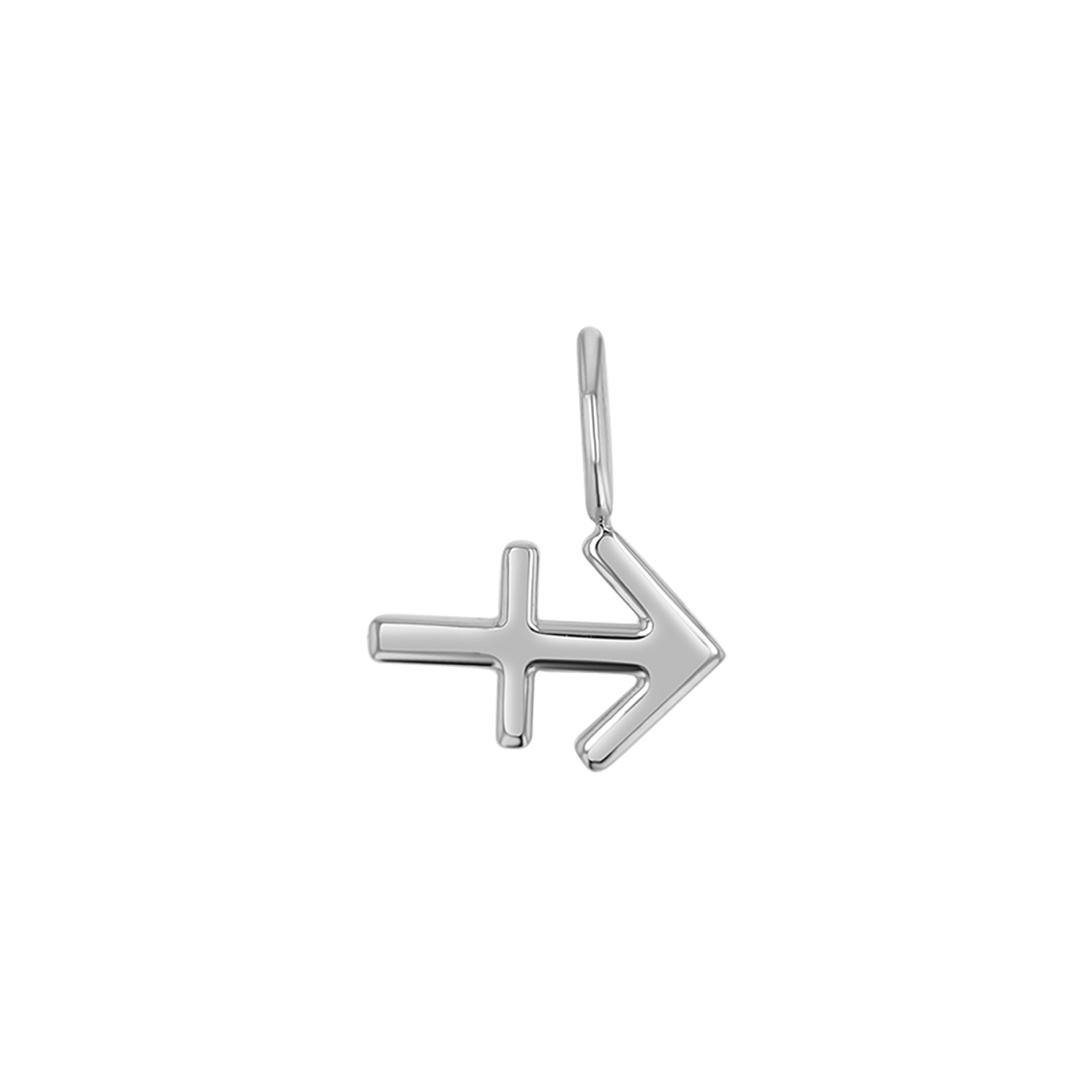 Zodiac Charm
