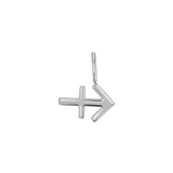 Zodiac Charm