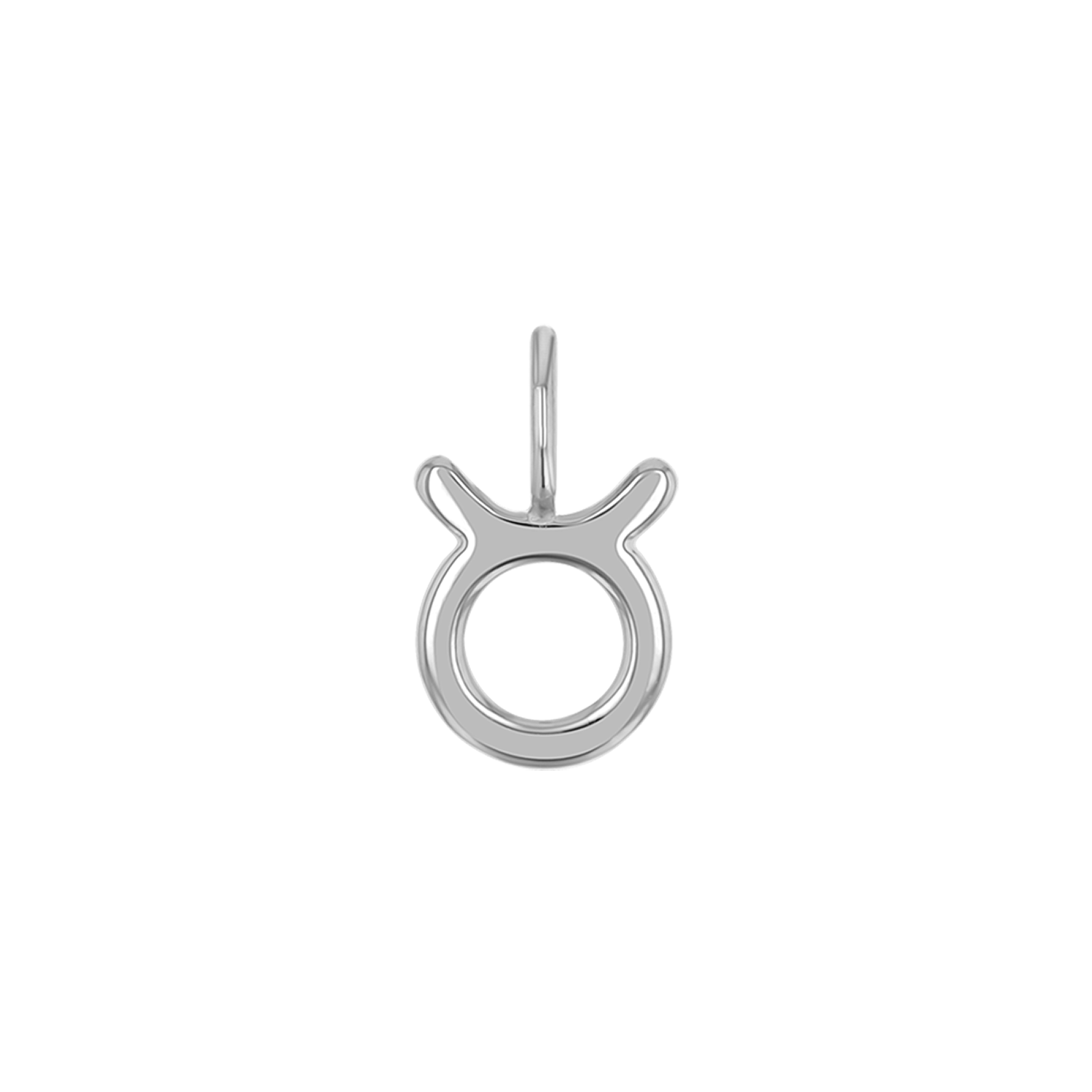 Zodiac Charm