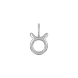Zodiac Charm