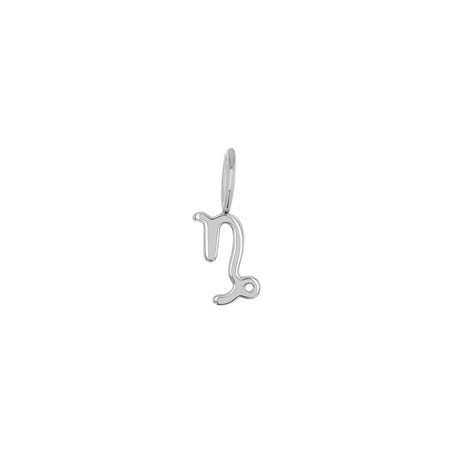 Zodiac Charm