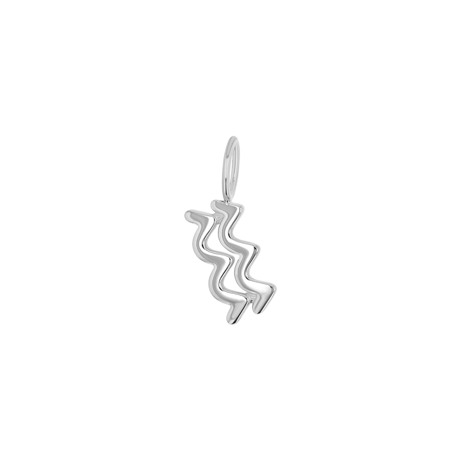 Zodiac Charm