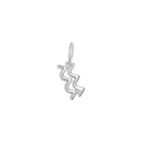 Zodiac Charm