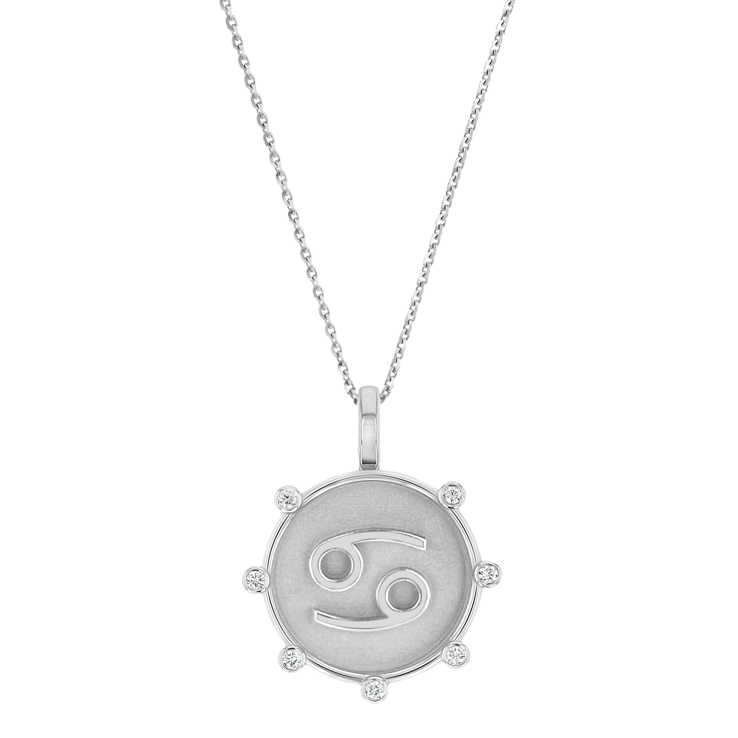 Zodiac Medallion Necklace