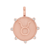 Zodiac Medallion Charm