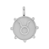 Zodiac Medallion Charm